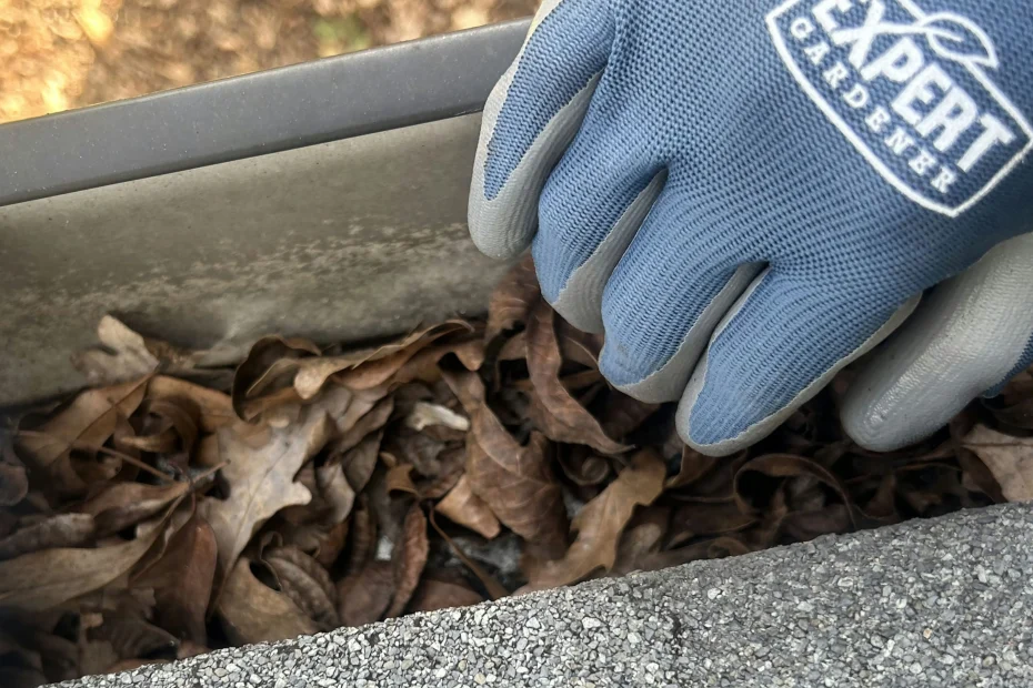 Gutter Cleaning Ellisville, MO