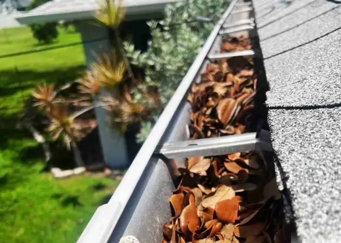 Gutter Cleaning Ellisville, MO home page